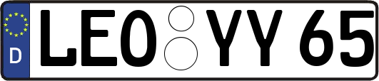 LEO-YY65