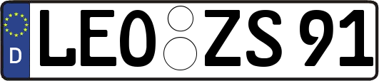 LEO-ZS91