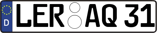 LER-AQ31