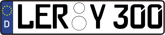 LER-Y300