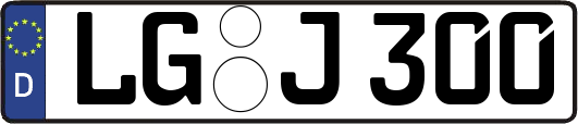 LG-J300