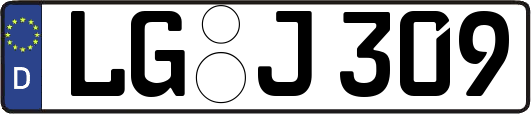 LG-J309