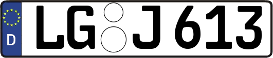 LG-J613