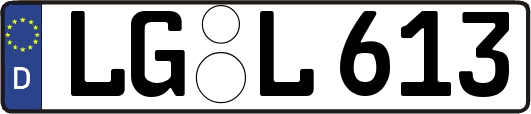 LG-L613
