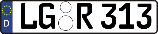 LG-R313