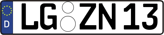 LG-ZN13