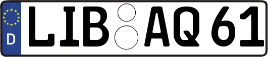 LIB-AQ61