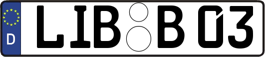 LIB-B03