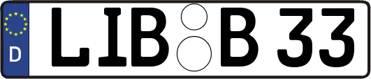LIB-B33