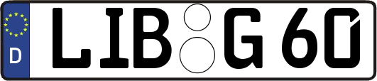 LIB-G60