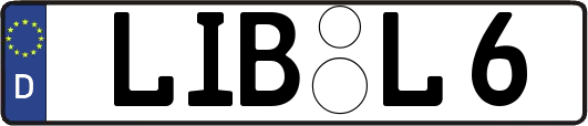 LIB-L6