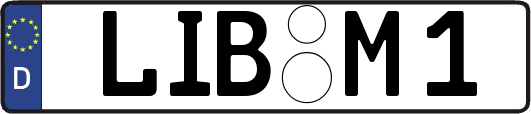 LIB-M1