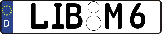 LIB-M6