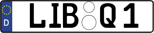 LIB-Q1