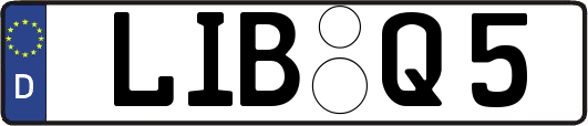LIB-Q5
