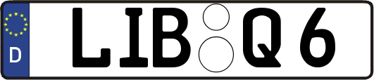 LIB-Q6