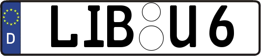 LIB-U6