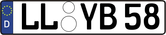 LL-YB58