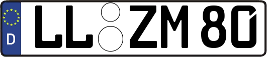 LL-ZM80