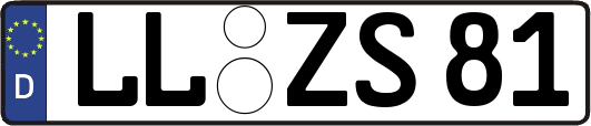 LL-ZS81