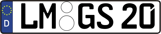 LM-GS20