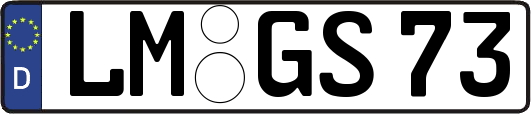 LM-GS73