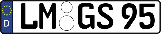 LM-GS95