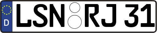 LSN-RJ31