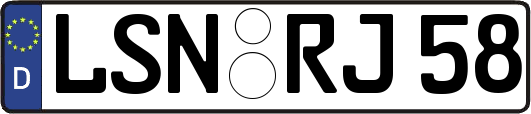 LSN-RJ58