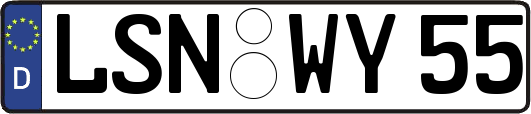 LSN-WY55