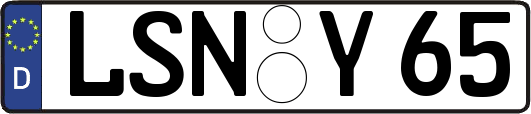LSN-Y65