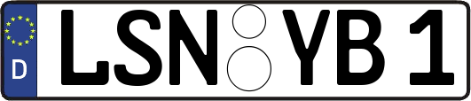 LSN-YB1