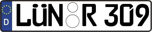 LÜN-R309