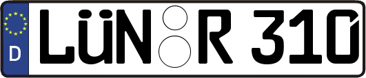 LÜN-R310