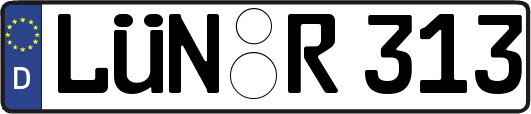 LÜN-R313