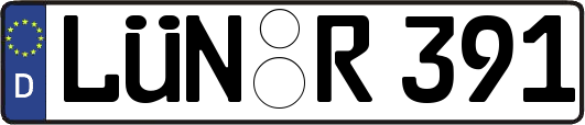 LÜN-R391