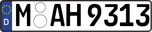M-AH9313