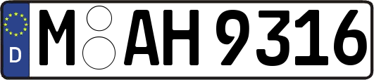 M-AH9316