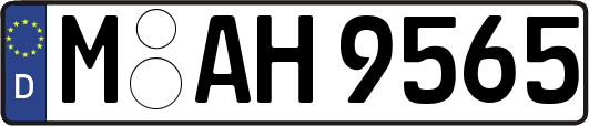 M-AH9565