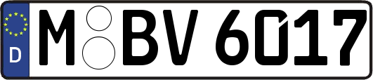 M-BV6017
