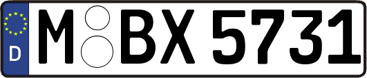 M-BX5731