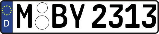 M-BY2313