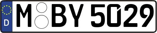 M-BY5029