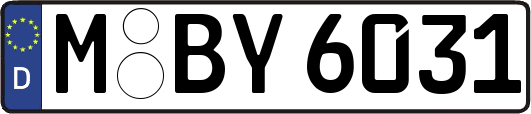 M-BY6031