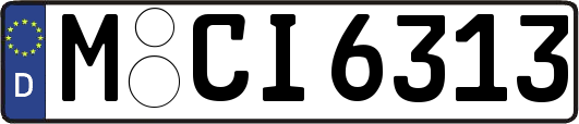 M-CI6313