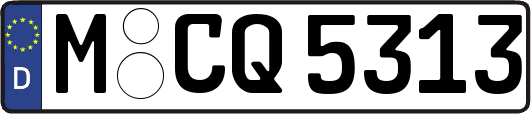 M-CQ5313