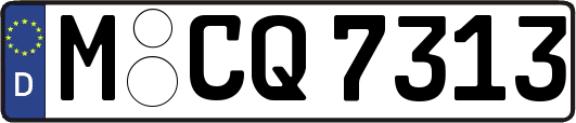 M-CQ7313