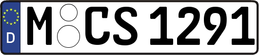 M-CS1291