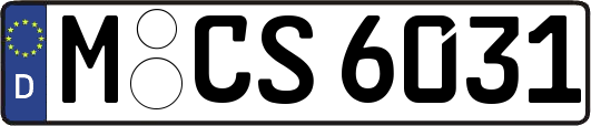 M-CS6031
