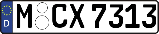 M-CX7313